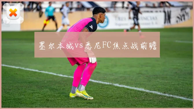 墨尔本城vs悉尼FC焦点战前瞻